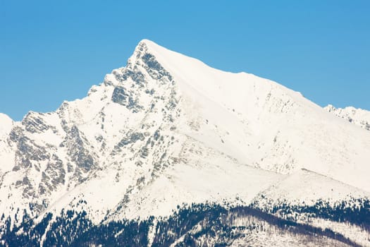 Krivan, Vysoke Tatry (High Tatras), Slovakia