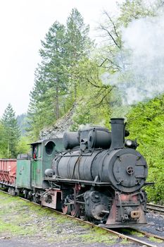 narrow gauge railway, Banovici, Bosnia and Hercegovina