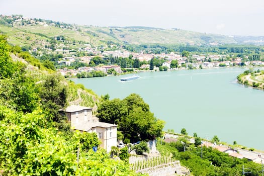 vineyard of Chateau Grillet, Rhone-Alpes, France