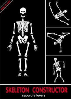 Human skeleton. Bones on separate layers. Easy to edit