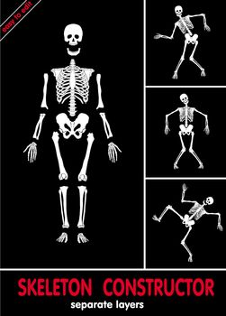 Human skeleton. Bones on separate layers. Easy to edit 
