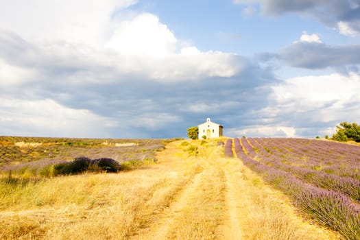 chapel with lavender field, Plateau de Valensole, Provence, France