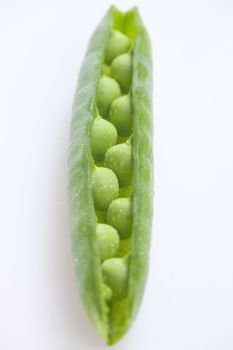 pea pod