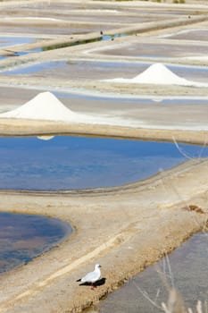 saline, Port des Salines, Oleron Island, Poitou-Charentes, France