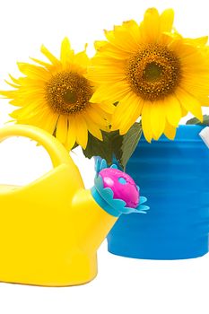 Sunflower bouquet and watering can over white