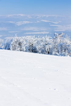 Jeseniky Mountains in winter, Czech Republic