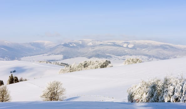 Jeseniky Mountains in winter, Czech Republic