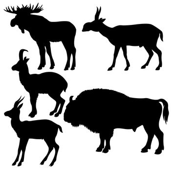 silhouettes of the wildlifes on white background