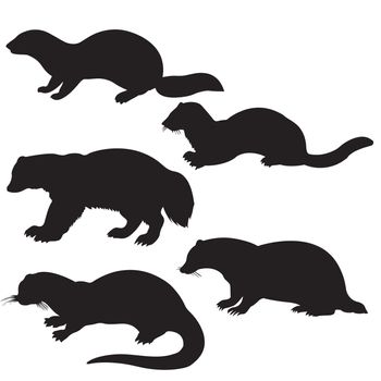 vector silhouettes animal on white background