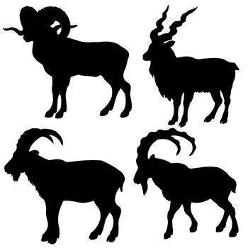 silhouette mountain ram on white background