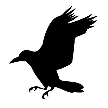 vector silhouette ravens on white background