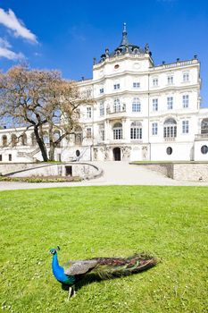 Ploskovice Palace, Czech Republic