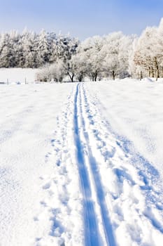 winter landscape, Czech Republic