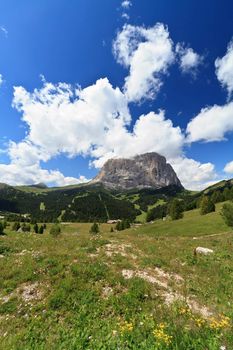 summer view of Sassolungo mount from Gardena pass, Italian Dolomites
