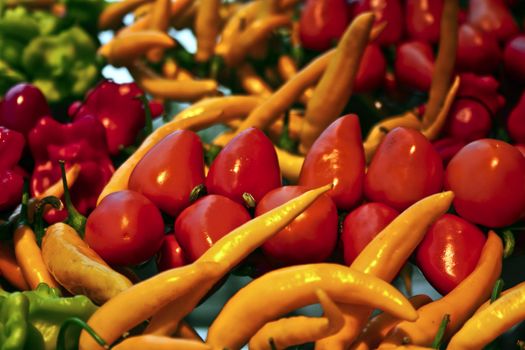 Peppers of different forms and colors are selling at market