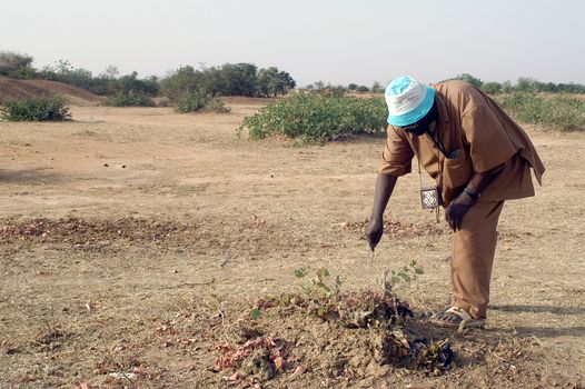 African waterfinder with work in an area of Burkina Faso Faso. Water is not rare in Africa, only it is necessary to drill wells to reach it. The waterfinder thus determines the place exact where to drill because drilling costs 8000 ? and it is not question of missing the place where the machines will have to work.