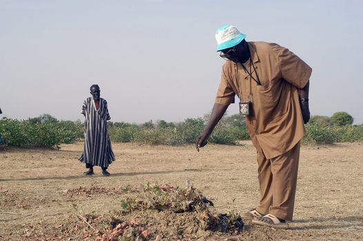 African waterfinder with work in an area of Burkina Faso Faso. Water is not rare in Africa, only it is necessary to drill wells to reach it. The waterfinder thus determines the place exact where to drill because drilling costs 8000 ? and it is not question of missing the place where the machines will have to work.