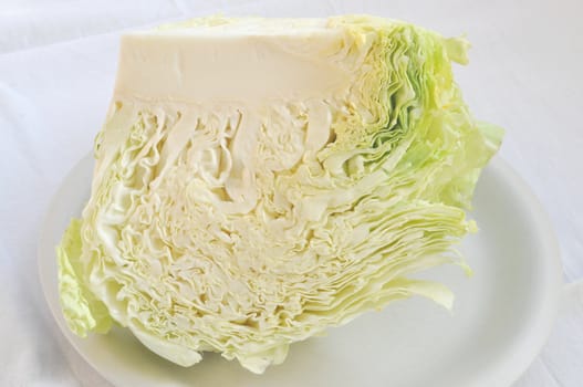 Cabbage leafy vegetable plant with edible leaves