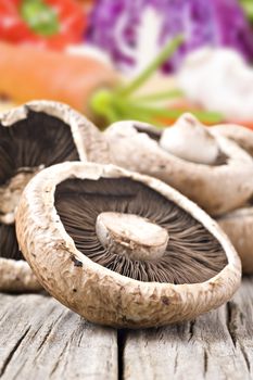 Healthy fresh mushrooms with very shallow depth of field