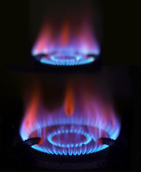 close up of blue gas flames