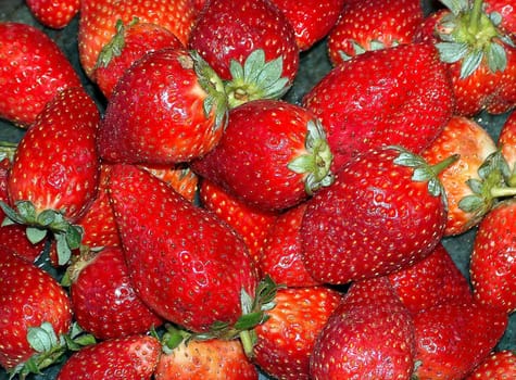 fresh strawberries bought in Venice in winter