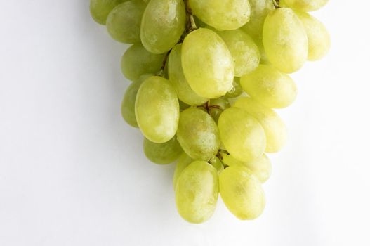 fresh grapes