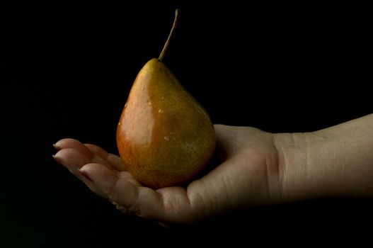 wet pear on the hand