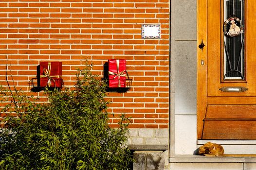 Sweet home facade and sleeping cat on the doorstep