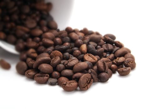 Coffee beans in a white cup