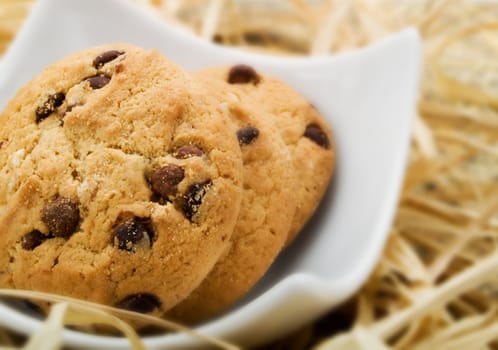 Cookies in a white plate