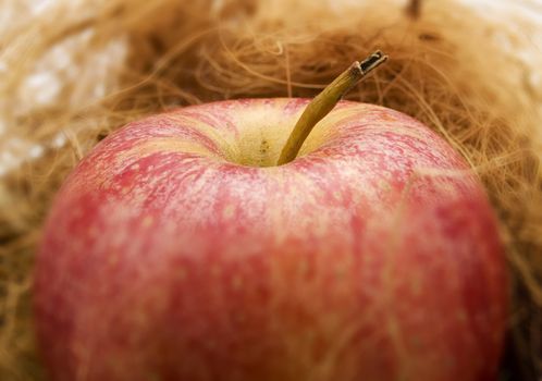 Fresh red apple in a kitchen