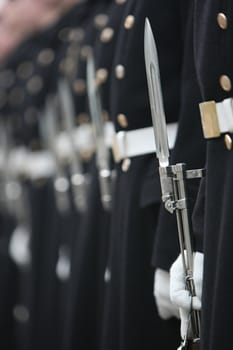 soldiers of honoured household troops