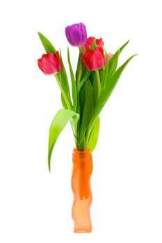 Beautiful Spring Tulips in a Vase. Isolated On White