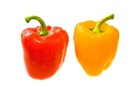 Red and Yellow Peppers the Covered Drops of Water. Isolated On White. Close-up