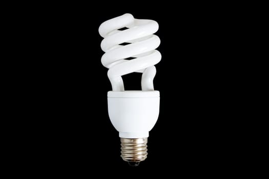 Compact Fluorescent Efficient Power Saving Light Bulb. With Clipping Path