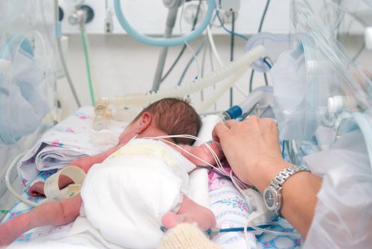 Hand of the physician and newborn in incubator  in hospital