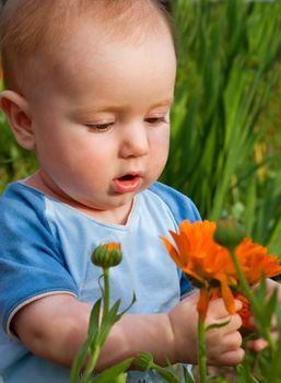 child studies flowerses,small boy,cognition of the world