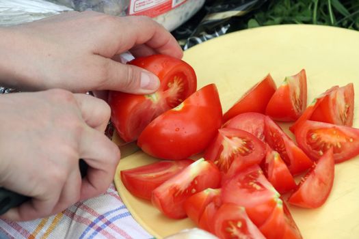 Hands, fingers,  tomato ,  plate, picnic,  grass,  knife