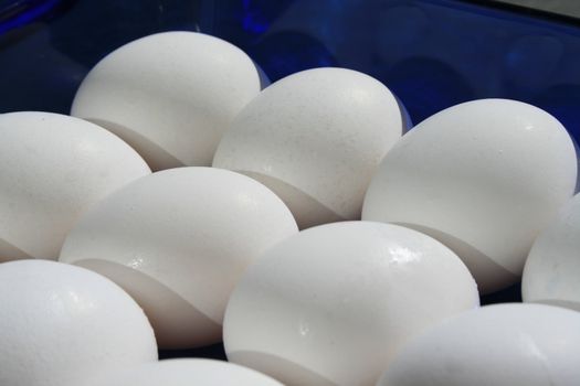 Close up of the white chicken eggs.
