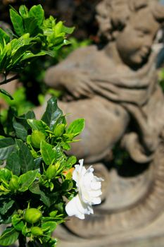 Close up of flowers next to a statue.
