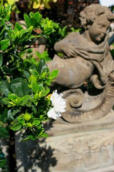 Close up of flowers next to a statue.
