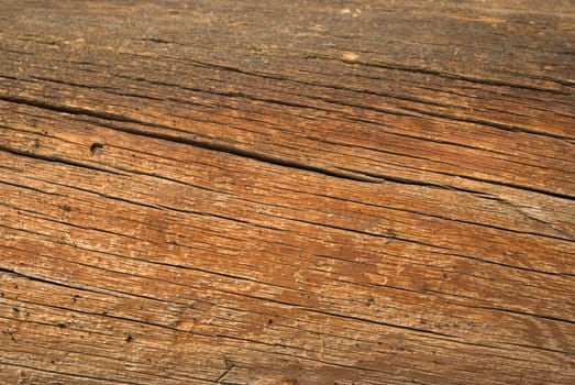 Wood texture background,old log