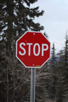 Stop/Halt Sign