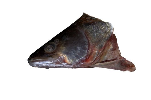 fish head isolated