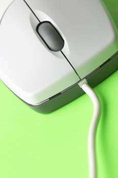 mouse in close up