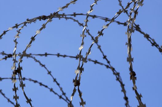  barbed wire