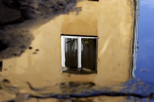 window