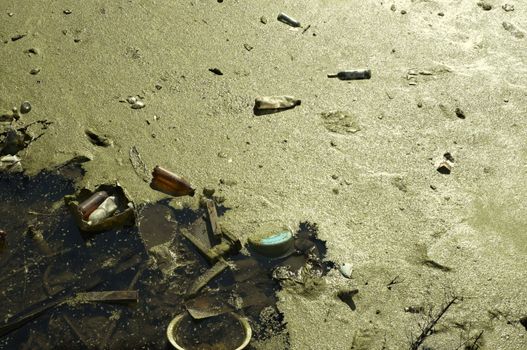 ecocatastrophe