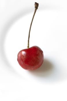 sweet cherry