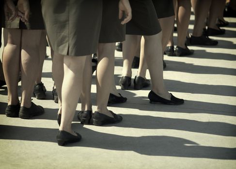 a lot of legs (special f/x,focus on the center)